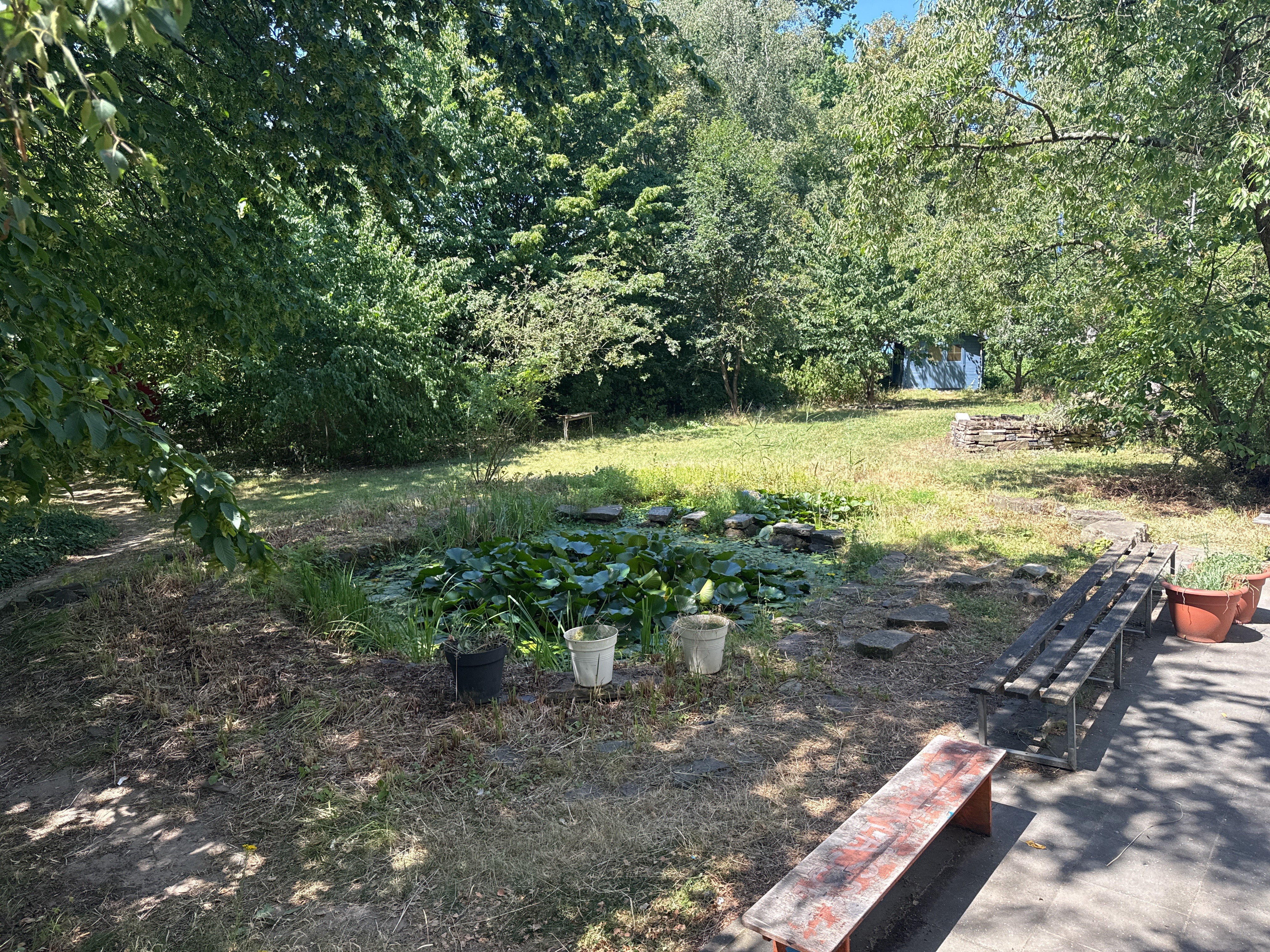 Naturerlebnisse im Schulgarten